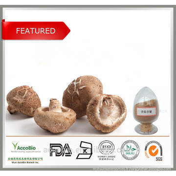 Poudre d&#39;extrait de champignon Shiitake bio 100% naturel de haute qualité